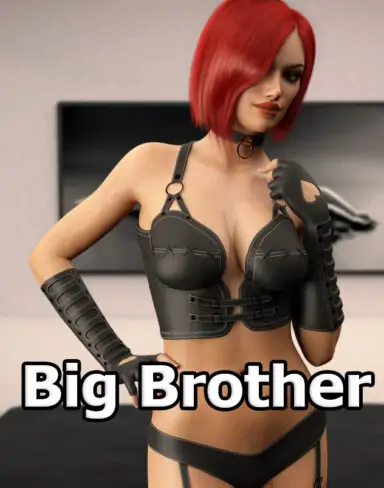 Big Brother Dark Silver Free Download (v0.13.0.007)